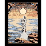 Luce & Ombra Oracolo