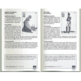 La Sibilla Indovina Cofanetto