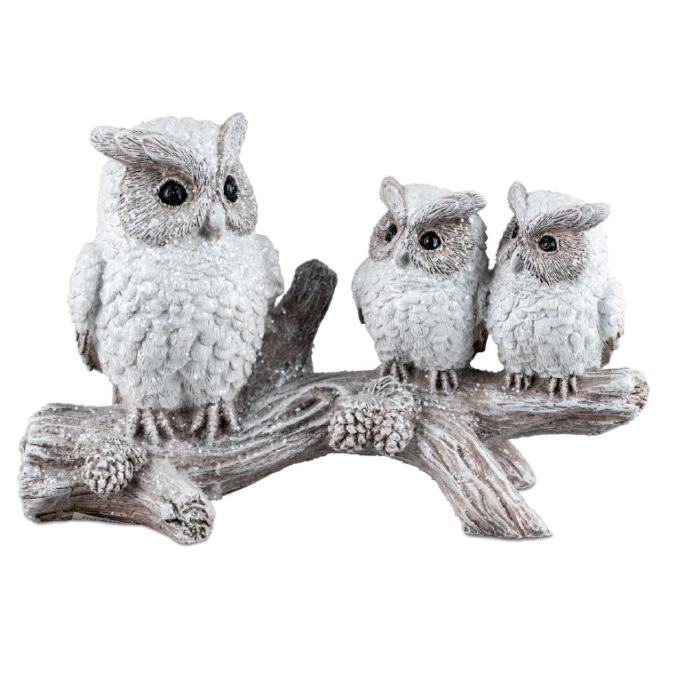 Trio Gufi Invernali su ramo