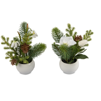 Piantine Decorazione