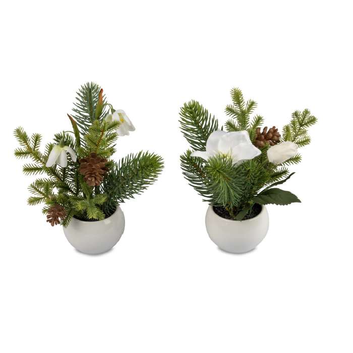 Piantine Decorazione